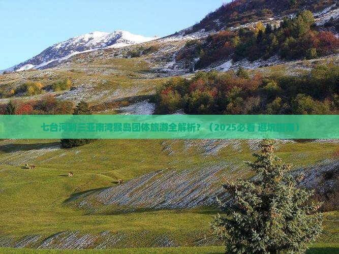 七台河出发三亚南湾猴岛团体旅游