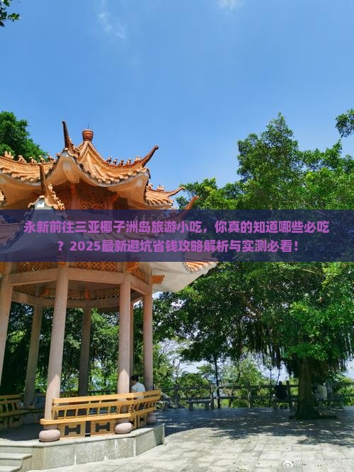永新前往三亚椰子洲岛旅游小吃