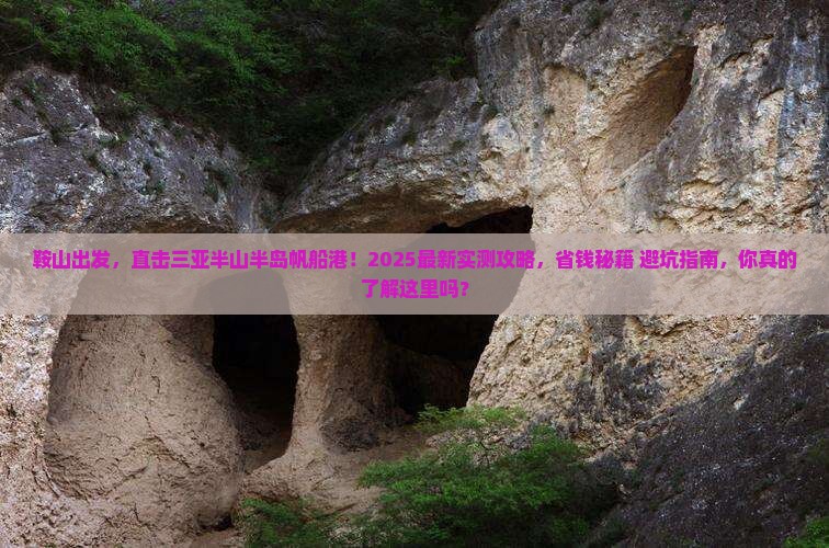 鞍山前往三亚半山半岛帆船港团体旅游
