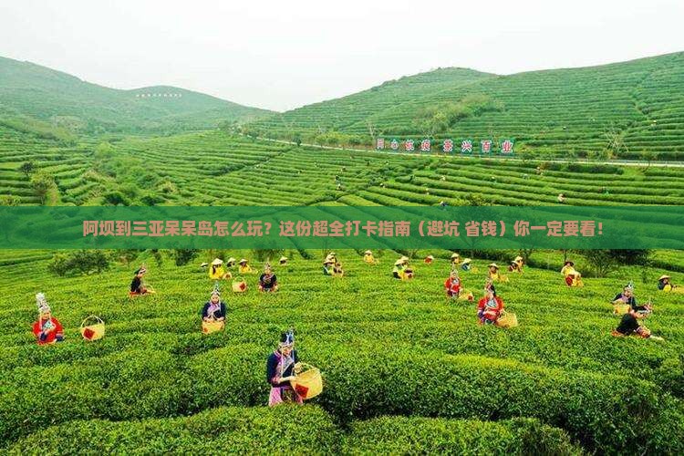 阿坝出发三亚呆呆岛哪里玩