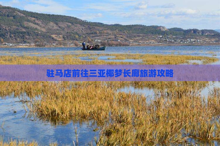 驻马店前往三亚椰梦长廊旅行社