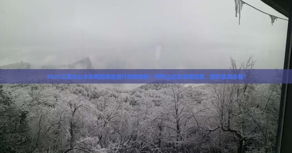 双鸭山出发三亚半山半岛帆船港自由团