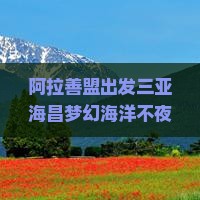 阿拉善盟出发三亚海昌梦幻海洋不夜城旅行社