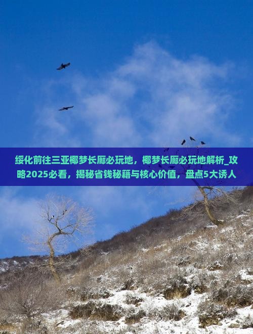 绥化前往三亚椰梦长廊必玩地