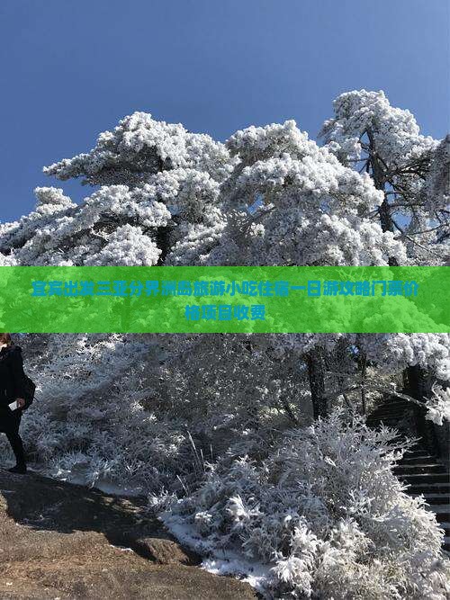 宜宾出发三亚分界洲岛旅游小吃