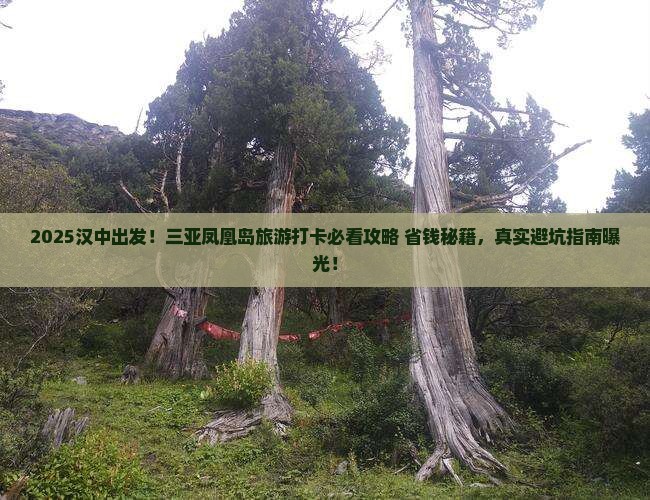汉中前往三亚凤凰岛旅游打卡点