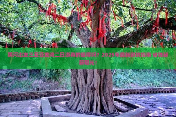 黑河出发三亚亚龙湾二日游