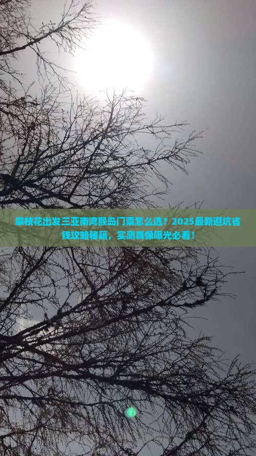 攀枝花出发三亚南湾猴岛门票