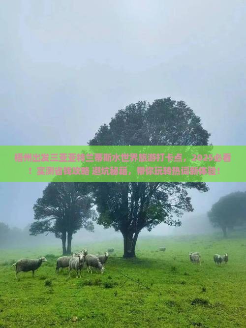 梧州出发三亚亚特兰蒂斯水世界旅游打卡点 梧州出发三亚亚特兰蒂斯水世界旅游打卡点