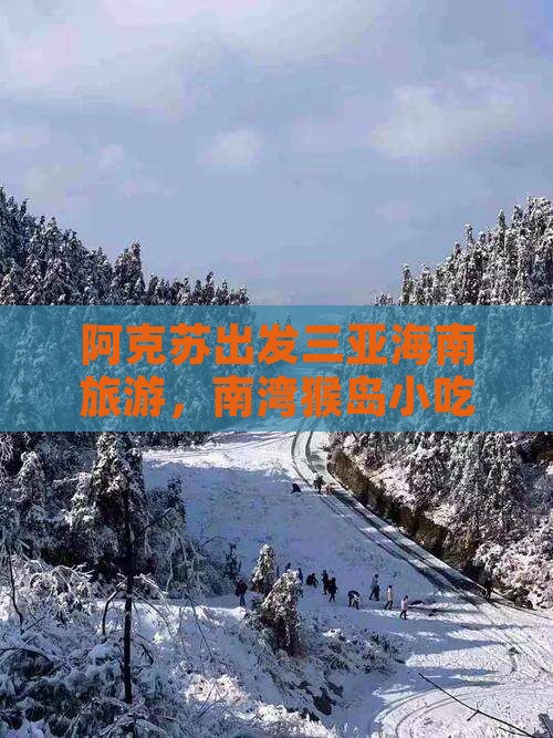 阿克苏出发三亚南湾猴岛旅游小吃