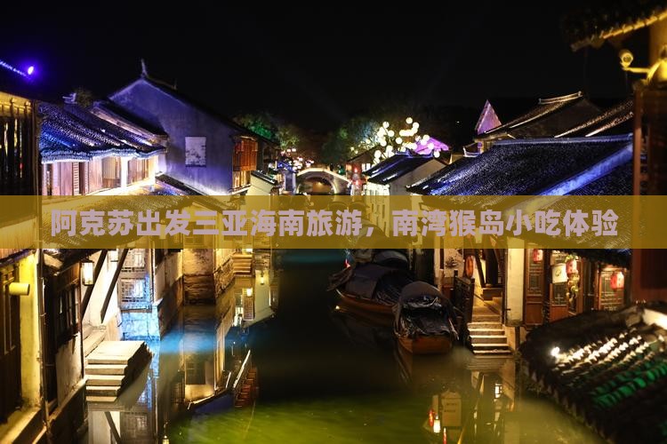 阿克苏出发三亚南湾猴岛旅游小吃
