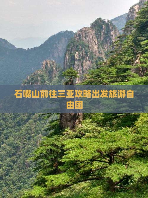 石嘴山前往三亚南山文化旅游区自由团