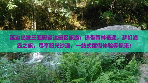 延边出发三亚呀诺达景区旅游
