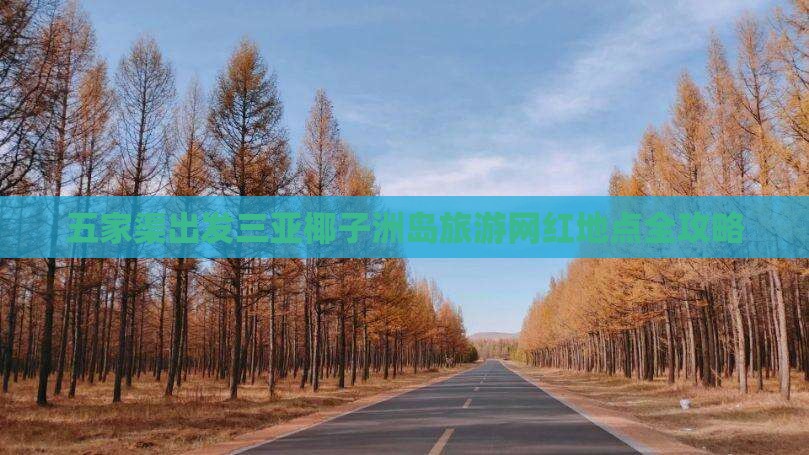 五家渠出发三亚椰子洲岛旅游网红地点
