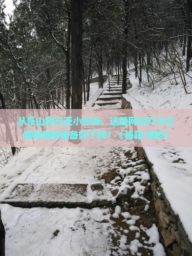 乐山前往三亚小东海旅游网红地点