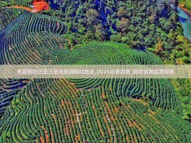 东莞前往三亚三亚湾旅游网红地点