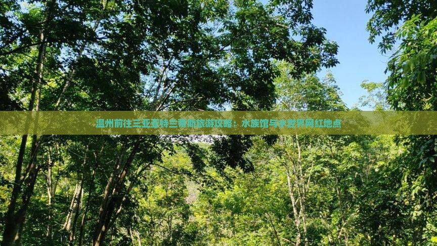 温州前往三亚亚特兰蒂斯水世界旅游网红地点
