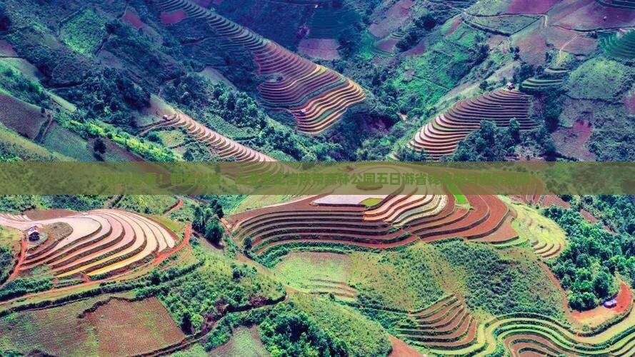 鹤壁去三亚亚龙湾热带森林公园五日游