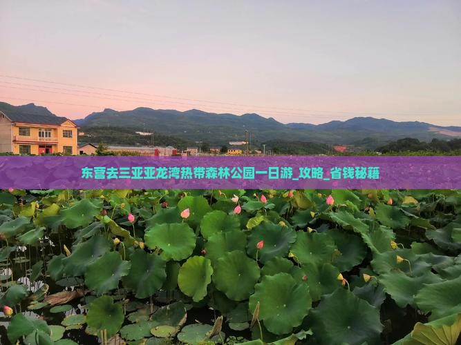 东营去三亚亚龙湾热带森林公园一日游