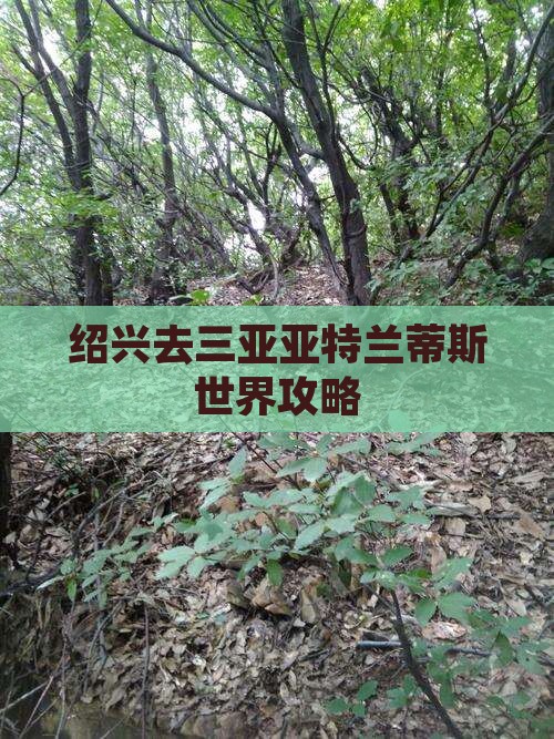 绍兴去三亚亚特兰蒂斯水世界必玩地