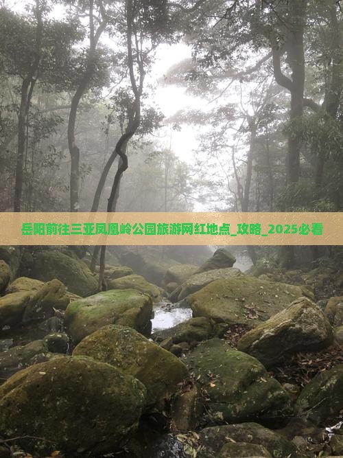 岳阳前往三亚凤凰岭公园旅游网红地点