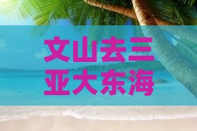 文山去三亚大东海一日游