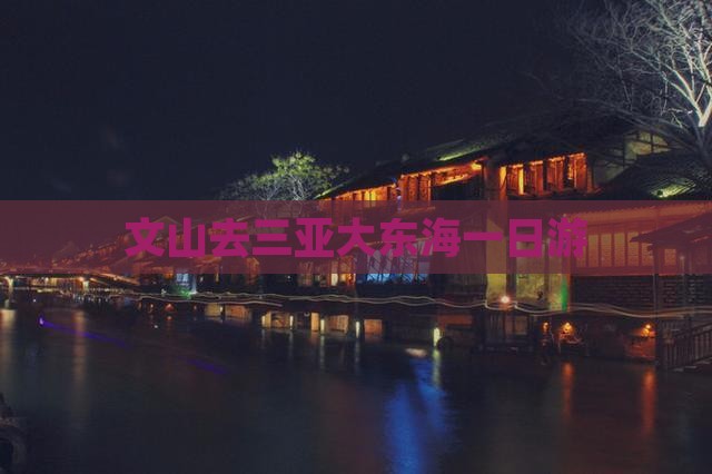 文山去三亚大东海一日游