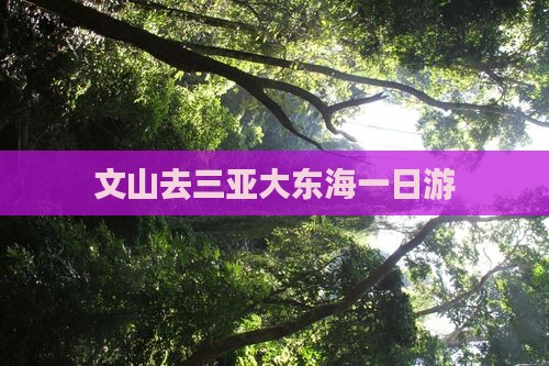 文山去三亚大东海一日游