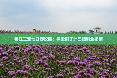 镇江前往三亚椰子洲岛七日游