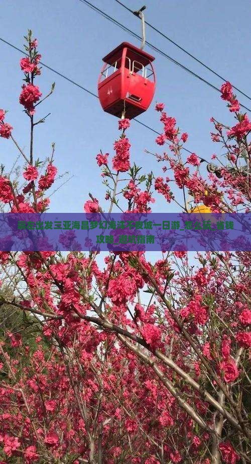 崇左出发三亚海昌梦幻海洋不夜城一日游