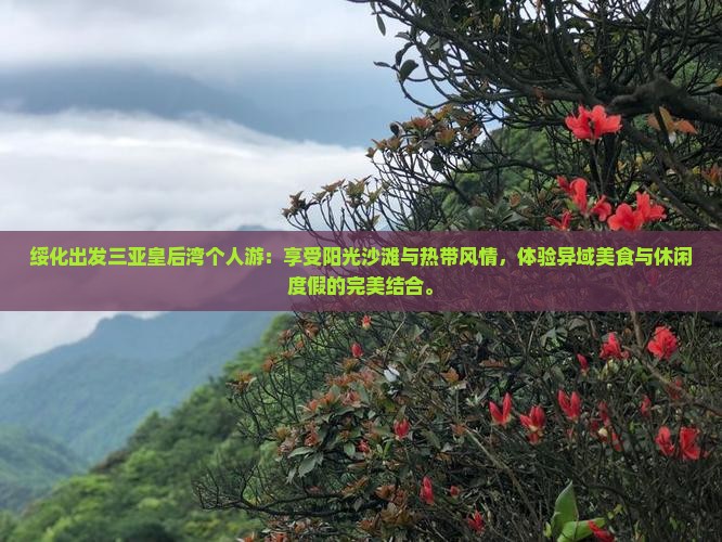 绥化出发三亚皇后湾个人游