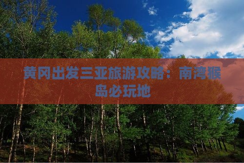 黄冈出发三亚南湾猴岛必玩地