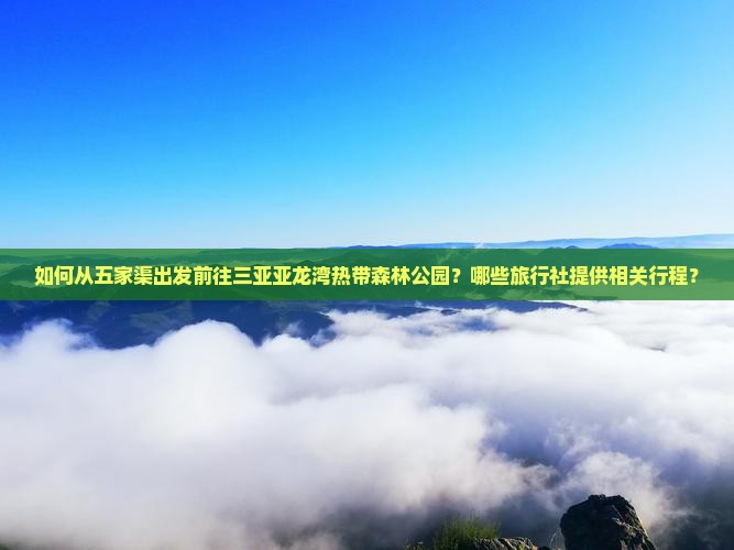 如何从五家渠出发前往三亚亚龙湾热带森林公园？哪些旅行社提供相关行程？
