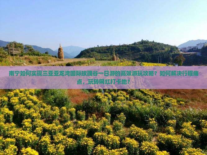 南宁如何实现三亚亚龙湾国际玫瑰谷一日游的高效游玩攻略？如何解决行程痛点，玩转网红打卡地？