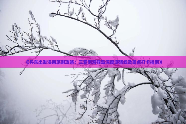 《丹东出发海南旅游攻略：三亚南湾猴岛深度游路线及景点打卡指南》