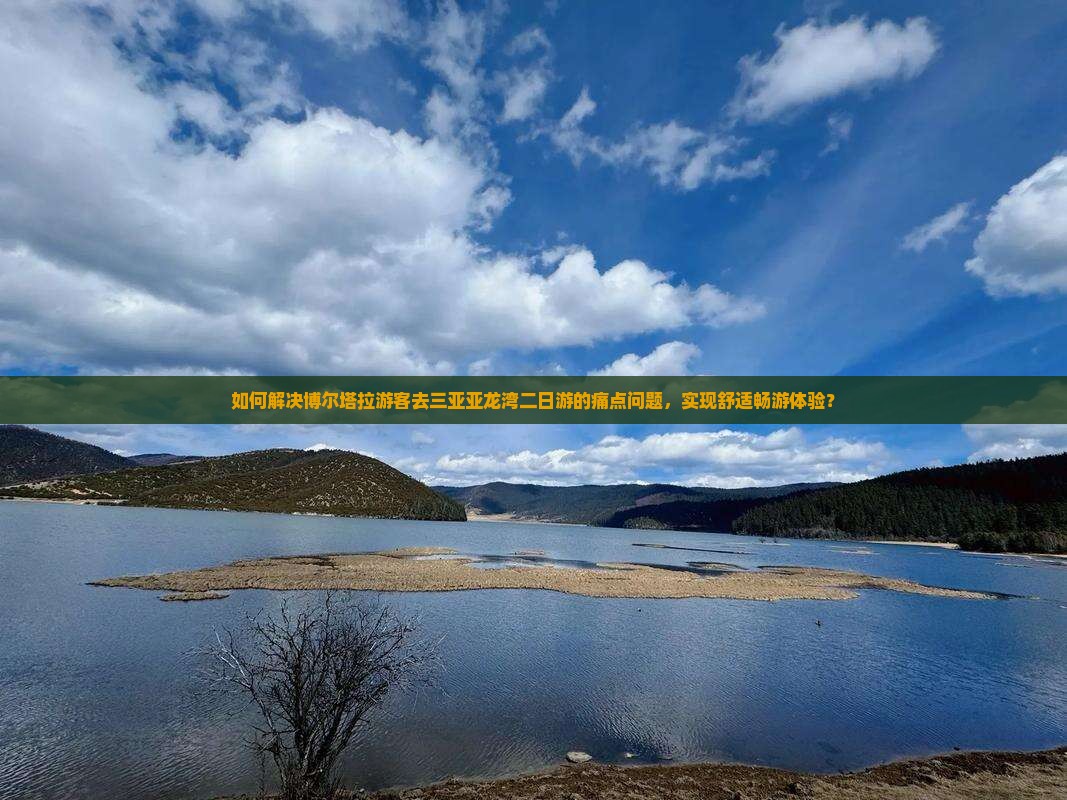 如何解决博尔塔拉游客去三亚亚龙湾二日游的痛点问题，实现舒适畅游体验？