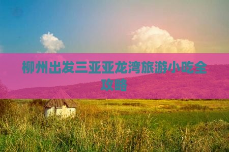 柳州出发三亚亚龙湾旅游小吃全攻略