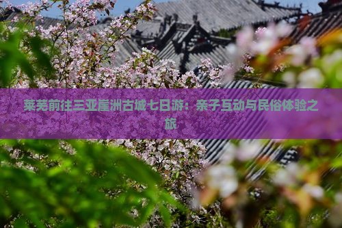 莱芜前往三亚崖洲古城七日游:亲子互动与民俗体验之旅 莱芜前往三亚崖洲古城七日游:亲子互动与民俗体验之旅