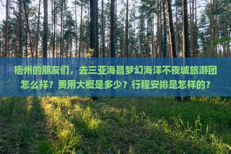 梧州的朋友们，去三亚海昌梦幻海洋不夜城旅游团怎么样？费用大概是多少？行程安排是怎样的？