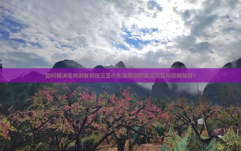 如何解决亳州游客前往三亚小东海旅游的痛点问题与攻略秘籍？