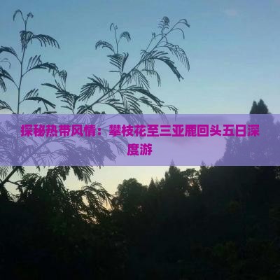 探秘热带风情：攀枝花至三亚鹿回头五日深度游
