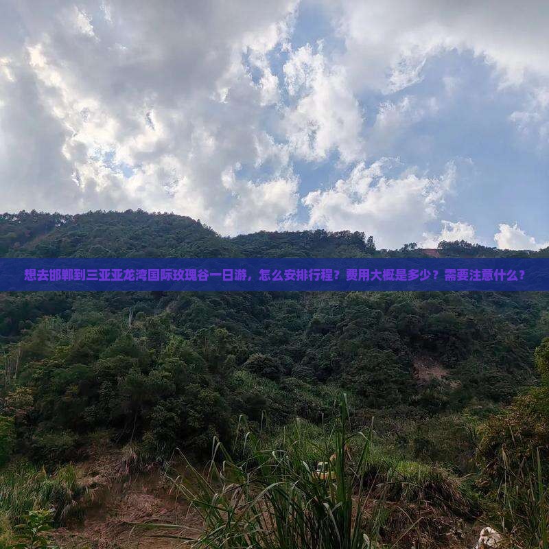 想去邯郸到三亚亚龙湾国际玫瑰谷一日游，怎么安排行程？费用大概是多少？需要注意什么？