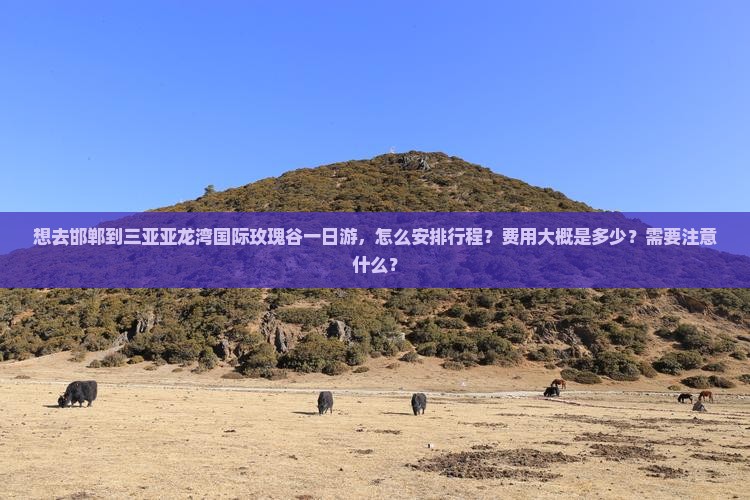 想去邯郸到三亚亚龙湾国际玫瑰谷一日游，怎么安排行程？费用大概是多少？需要注意什么？