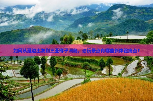 如何从延边出发到三亚椰子洲岛，必玩景点有哪些新体验痛点？