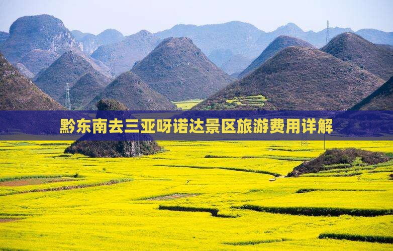 黔东南去三亚呀诺达景区旅游费用详解