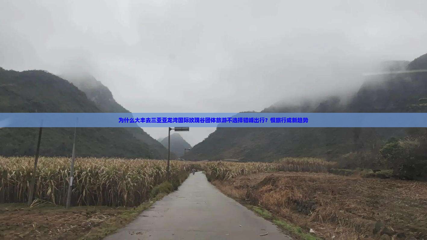 为什么大丰去三亚亚龙湾国际玫瑰谷团体旅游不选择错峰出行？慢旅行成新趋势