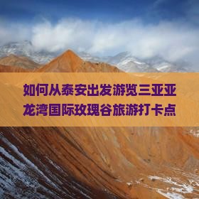如何从泰安出发游览三亚亚龙湾国际玫瑰谷旅游打卡点的详细攻略与交通指南？