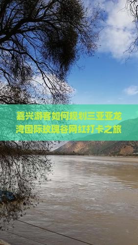 嘉兴游客如何规划三亚亚龙湾国际玫瑰谷网红打卡之旅，解决哪些旅行痛点？