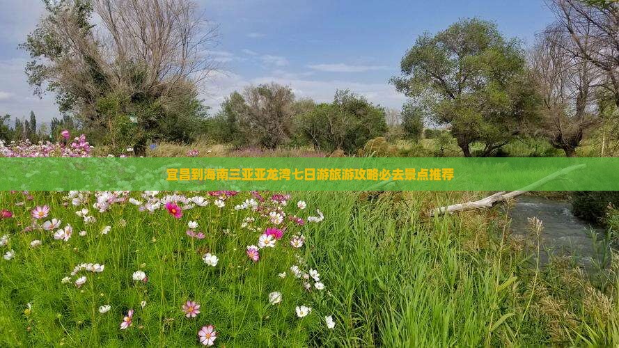 宜昌到海南三亚亚龙湾七日游旅游攻略必去景点推荐