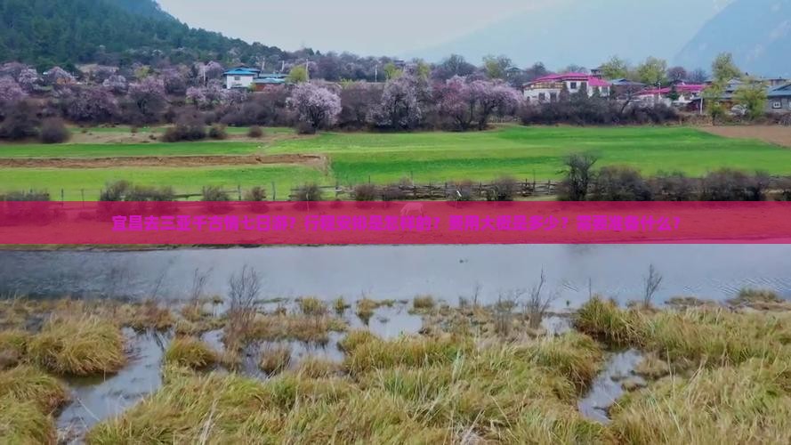 宜昌去三亚千古情七日游？行程安排是怎样的？费用大概是多少？需要准备什么？
